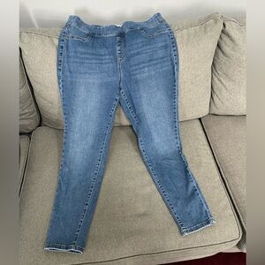 Lane Bryant Jeggings